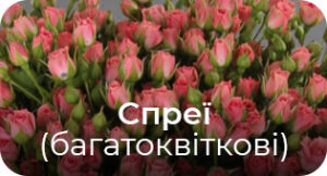 Спреї багатоквіткові