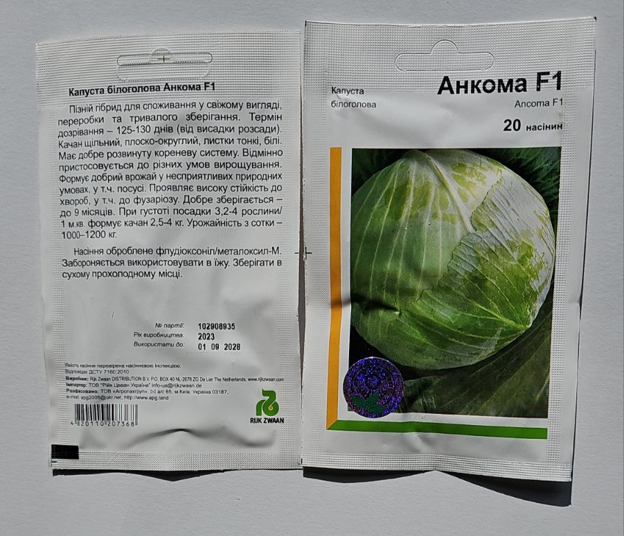 Капуста Анкома насіння Голандія - Image 2