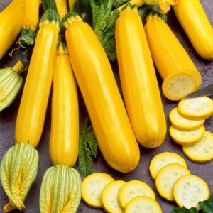 Кабачок Санлайт насіння Голандія