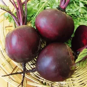 Буряк столовий Мулатка (насіння)