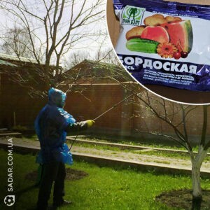Бордоська суміш
