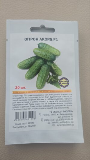 Огірок Акорд F1