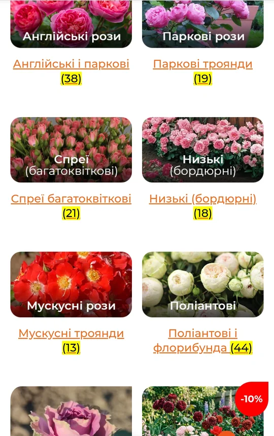 Розділи саджанців на сайті