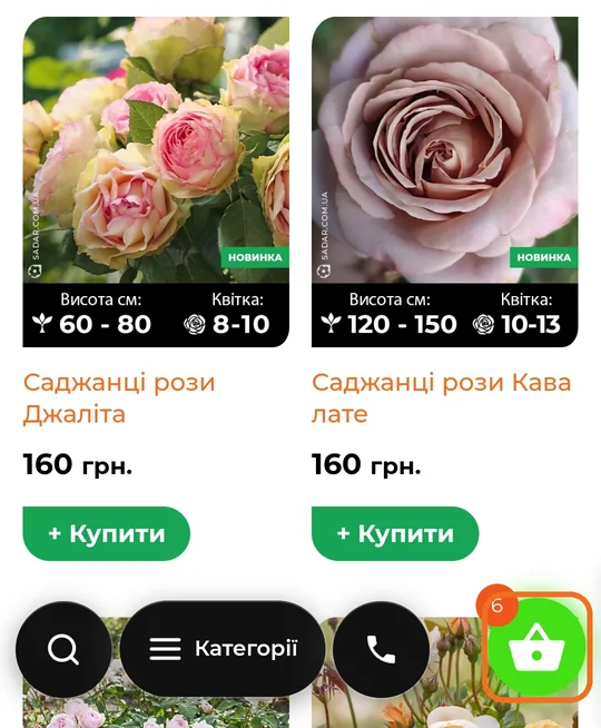 Кнопка кошика внизу праворуч